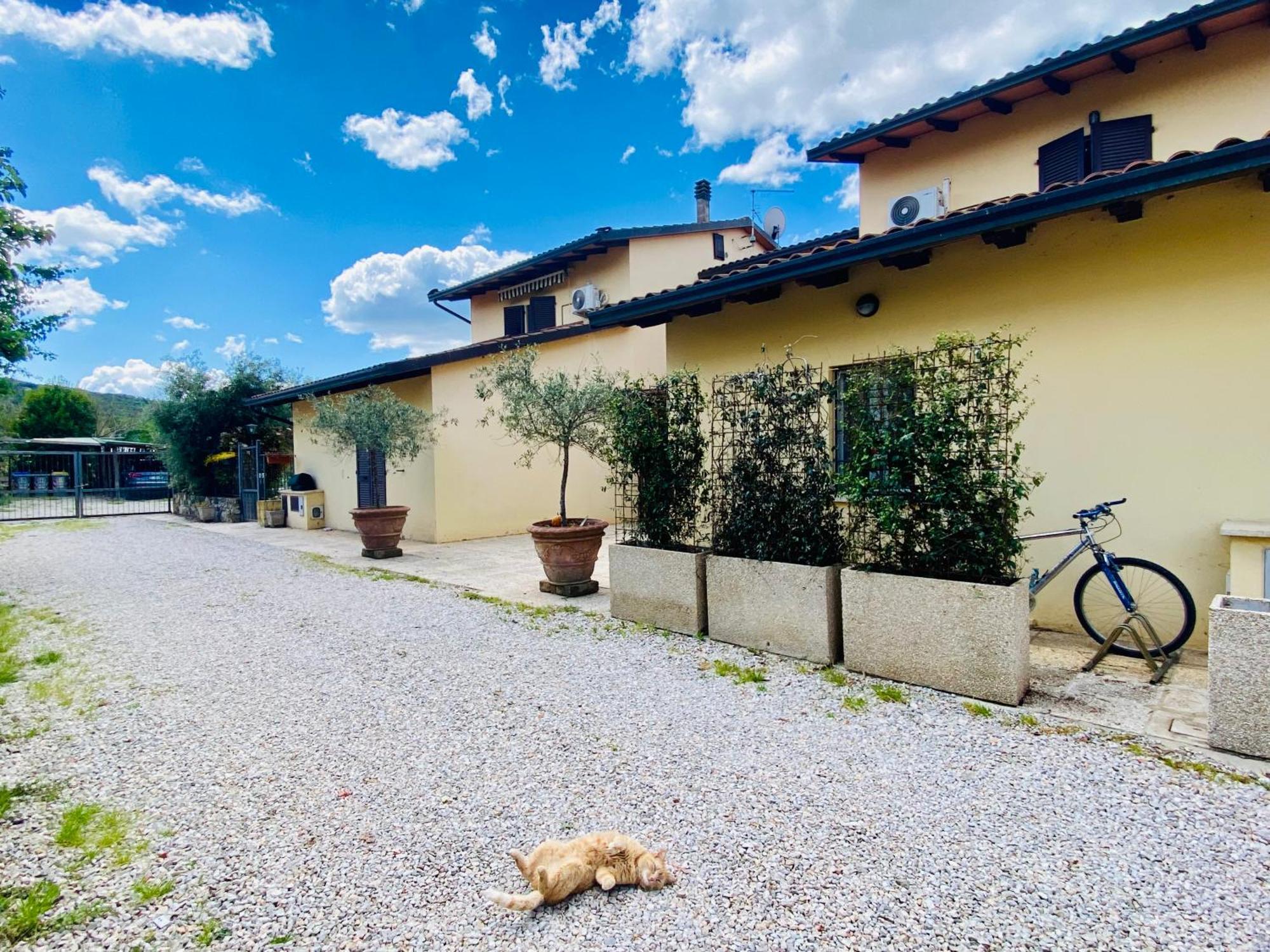Casa Vacanze Barbara Sant'Arcangelo  Екстер'єр фото